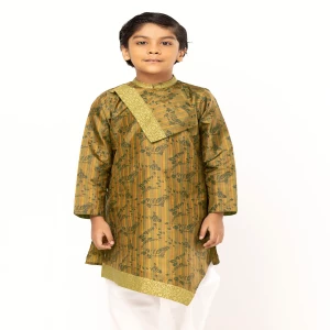 Brown Striped and Printed Silk Panjabi